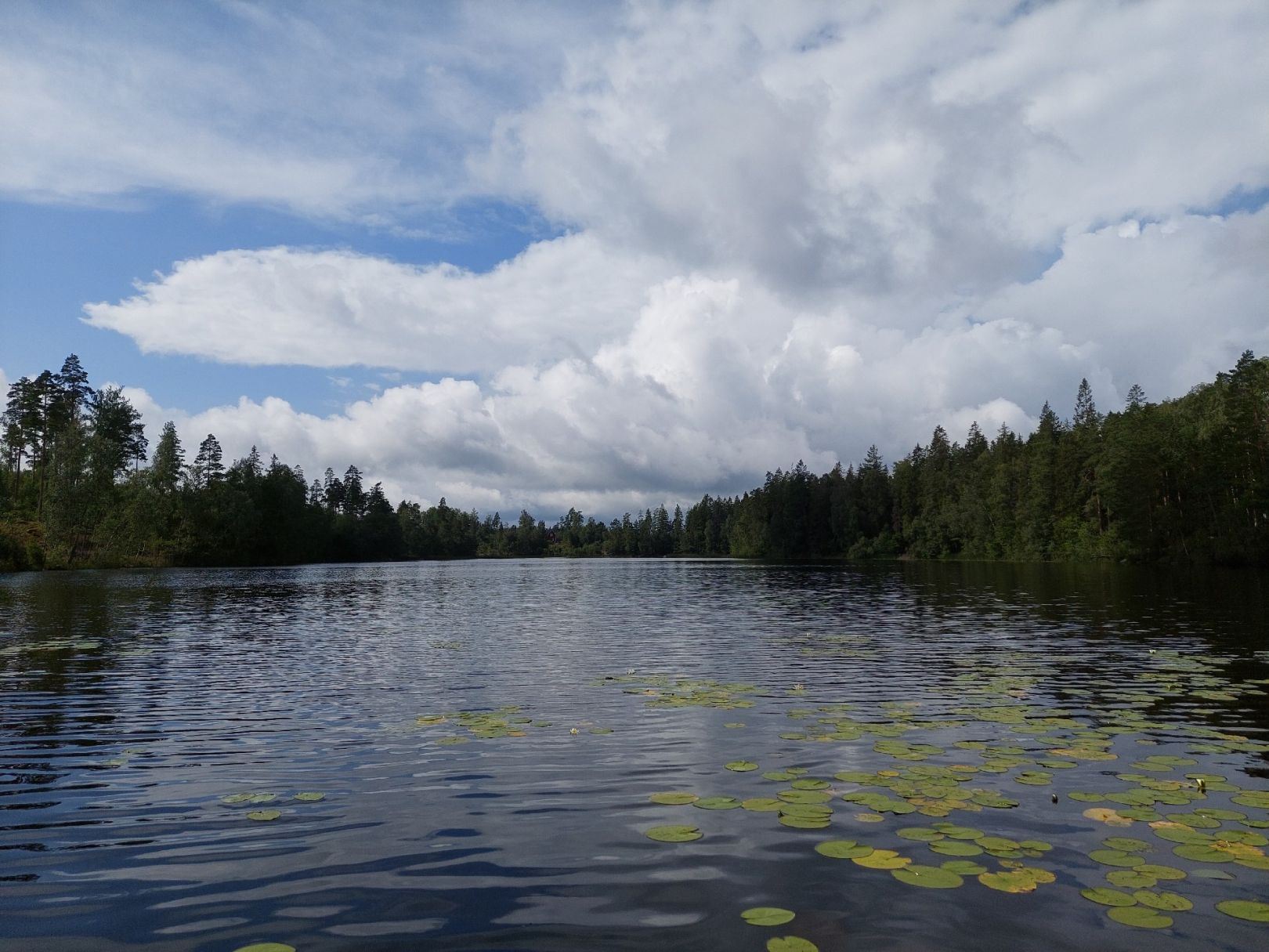 Orsjön angeln