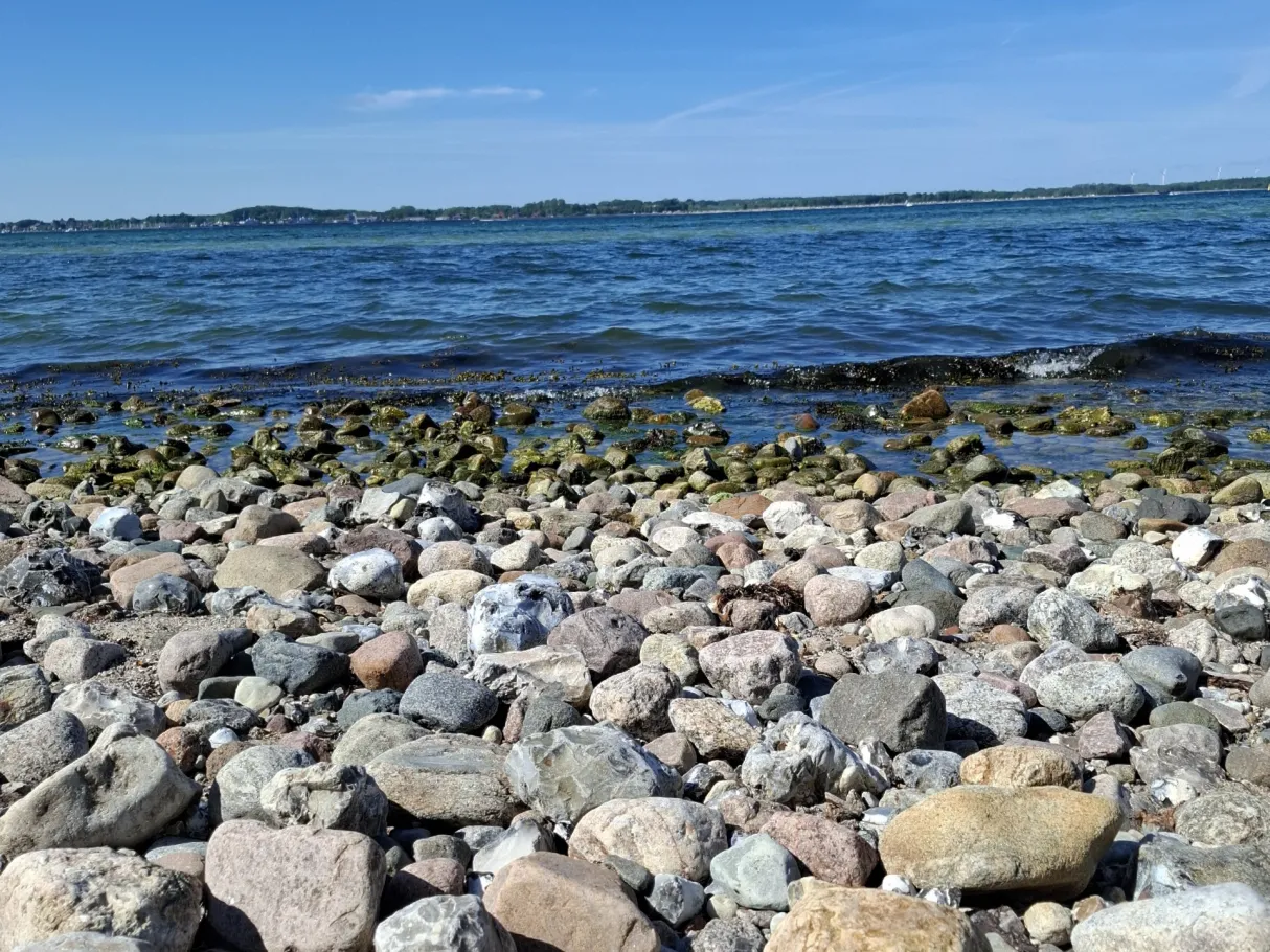 Ostsee (Altenhof) angeln