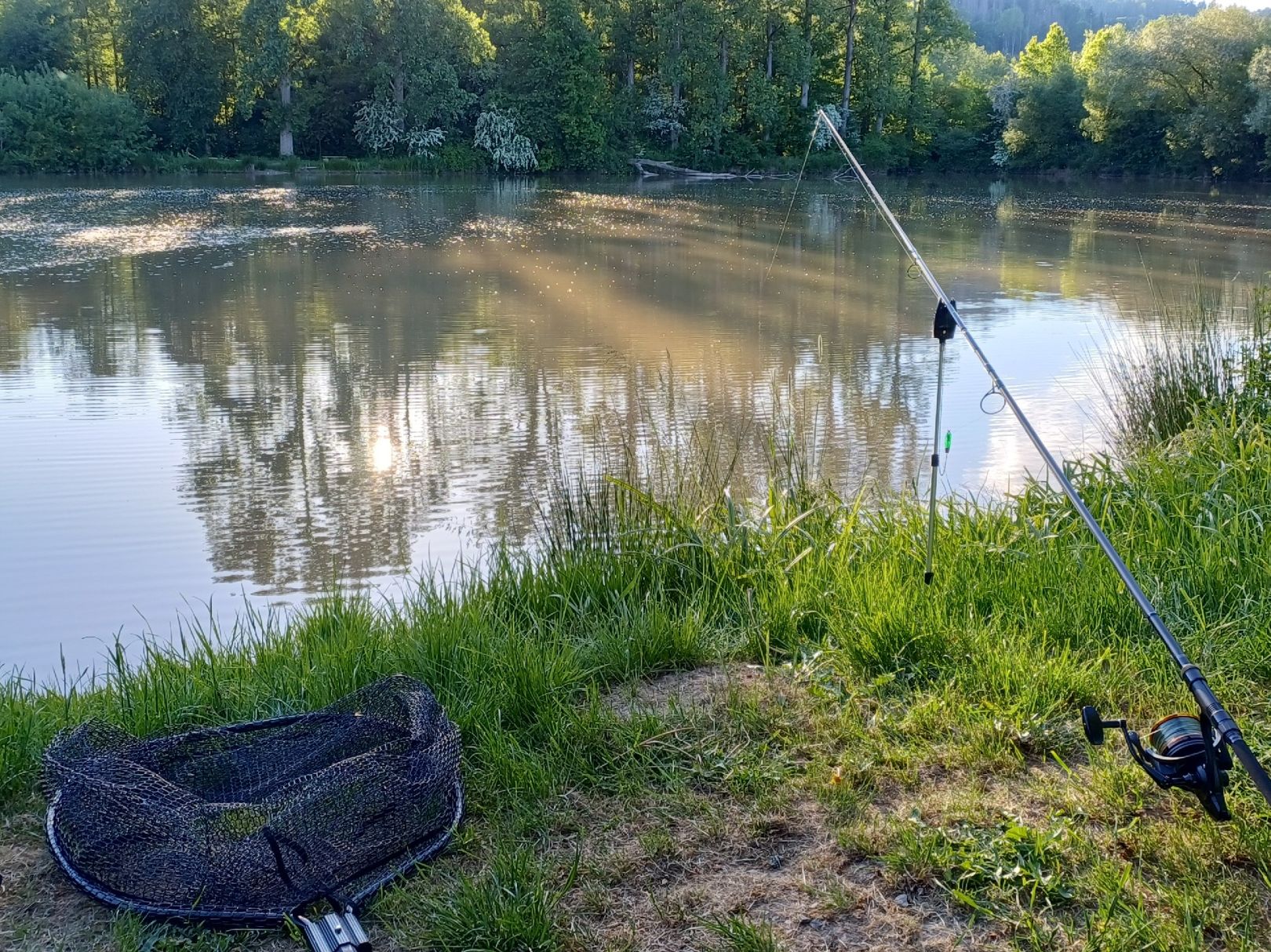 Weiher Neukenroth angeln