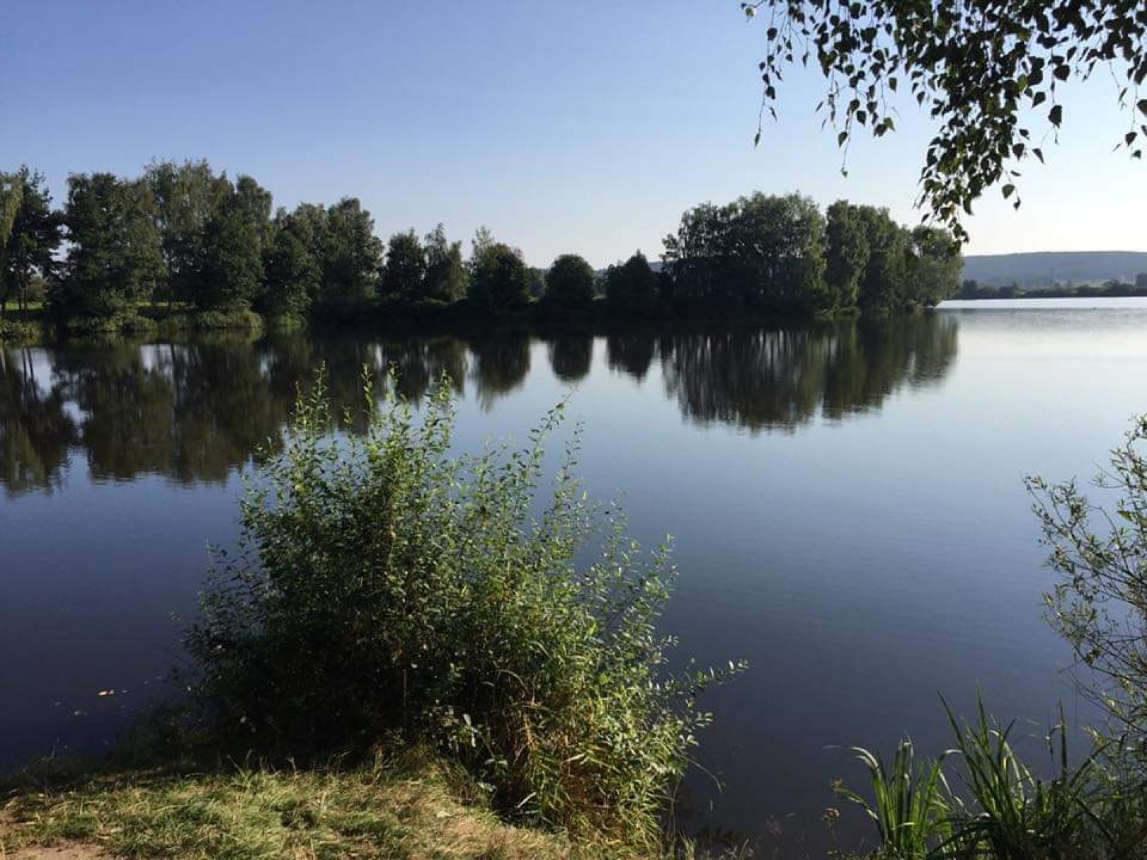 Brucknerweiher (Schwarzenfeld) angeln