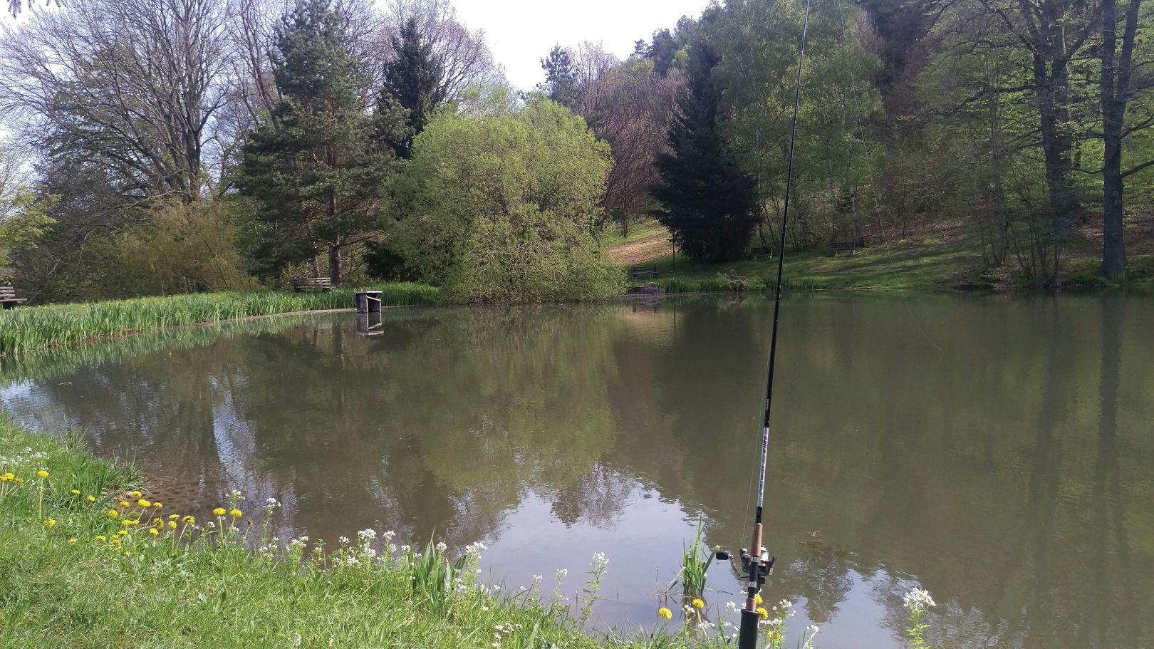 47+ Angeln Rödicher Teich, Auf dieser seite findest du alle