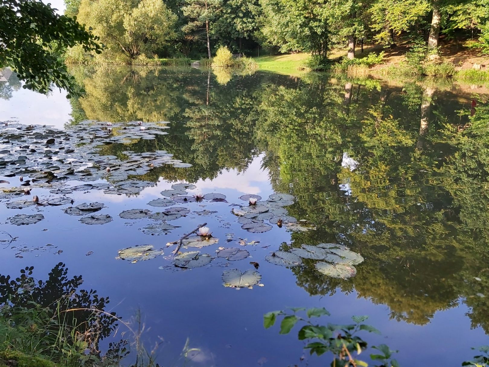 Nonnbergteich (Fischbach) angeln