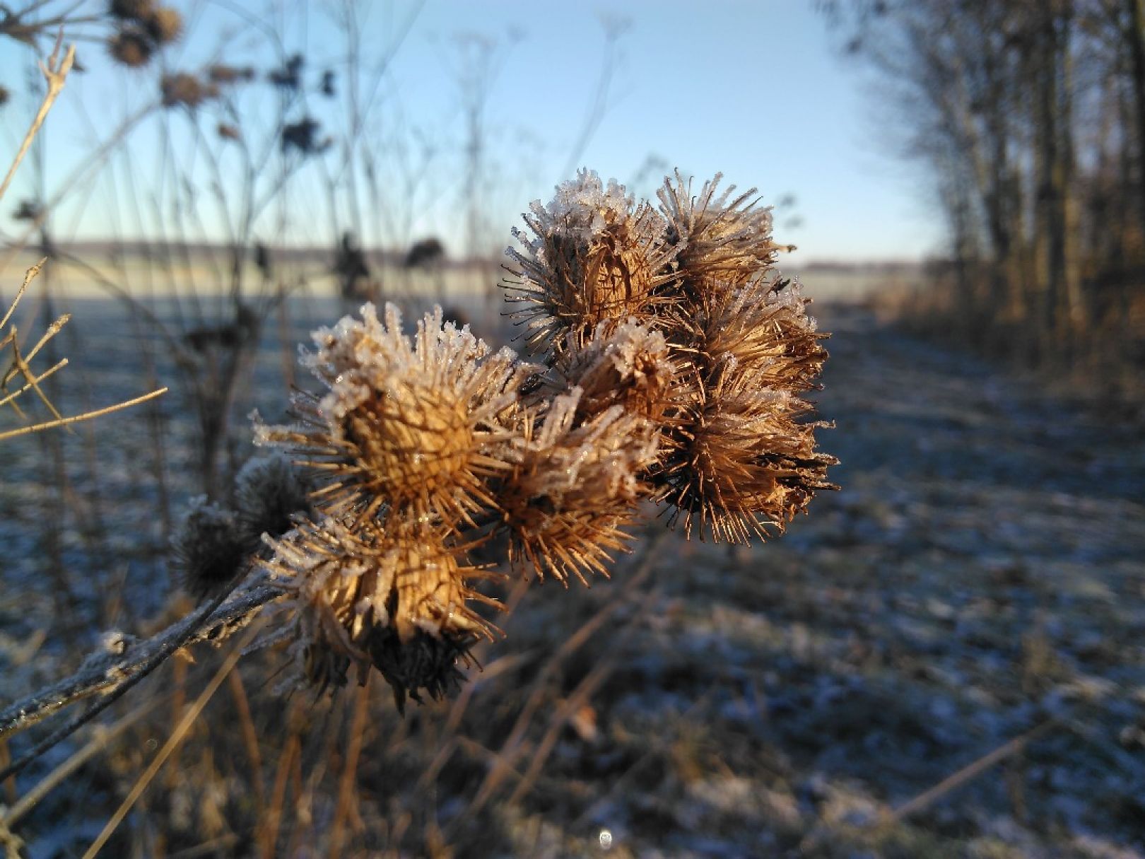 Hörsel (Hörselgau) angeln