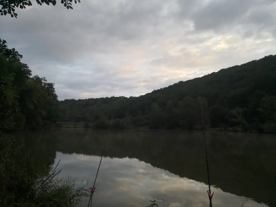 Angelsee Münster angeln