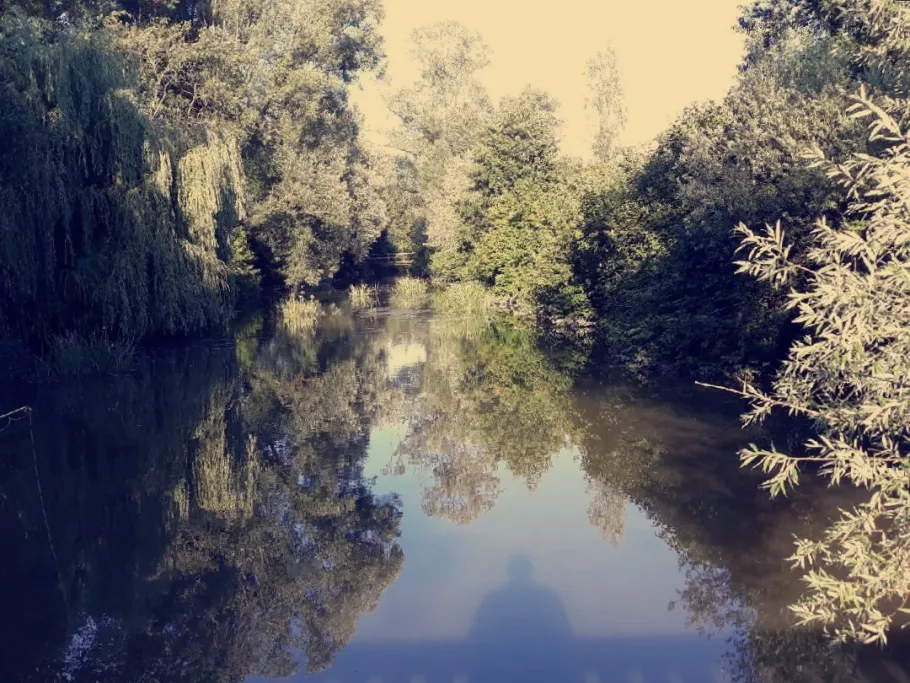 Altvils (Walchsing) angeln