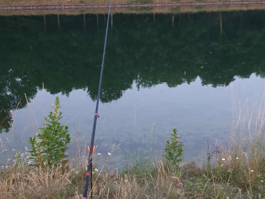 Dortmund-Ems-Kanal (Greven) angeln