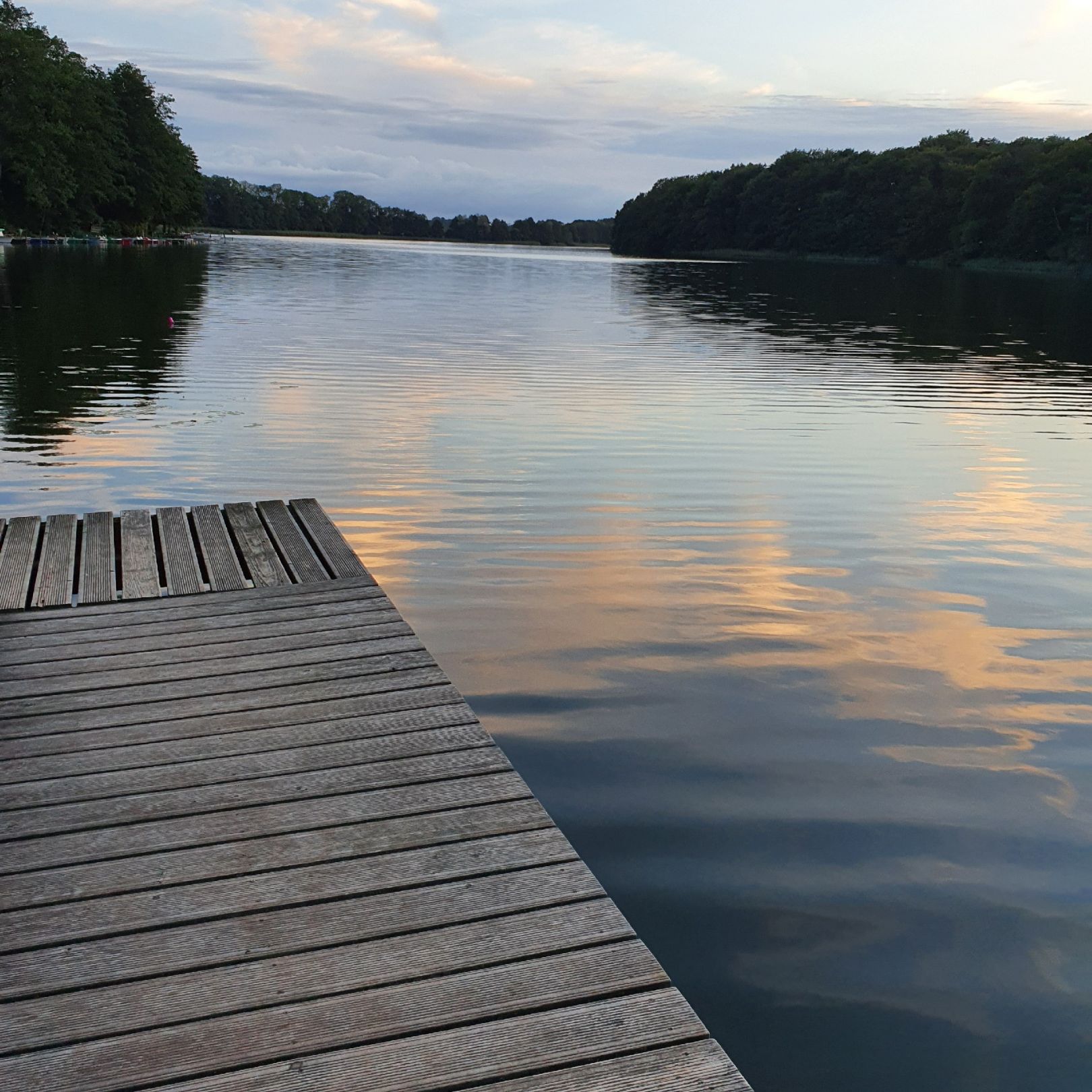 Dolgener See (Dolgen am See) angeln