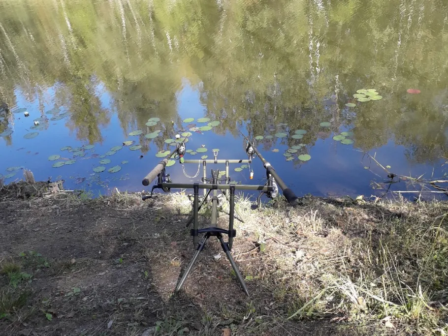 Naßpresse (Döllnitz) angeln