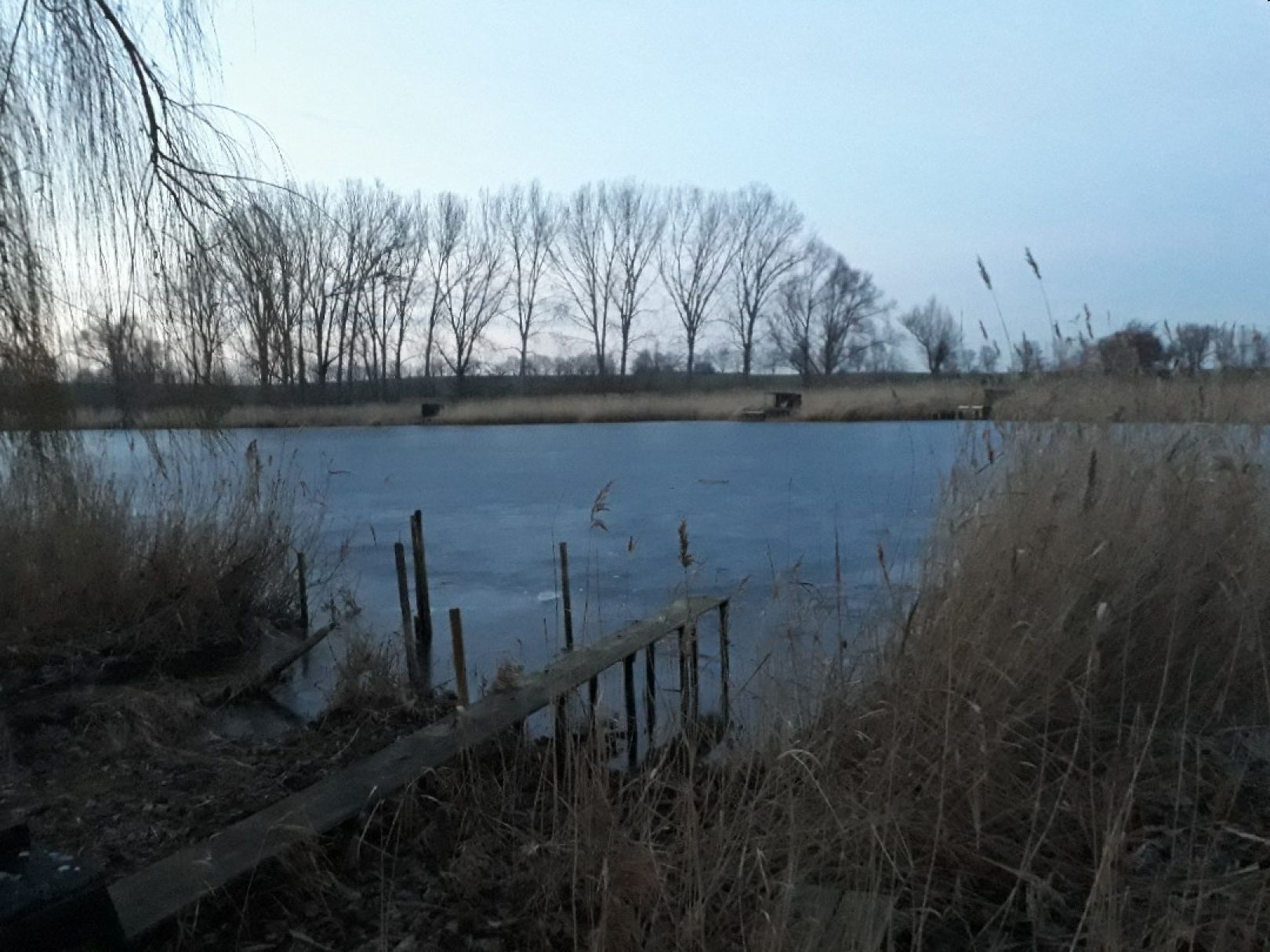 Stockscher Teich (Wolmirsleben) angeln