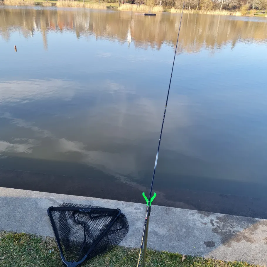 Stadtweiher Baumholder angeln