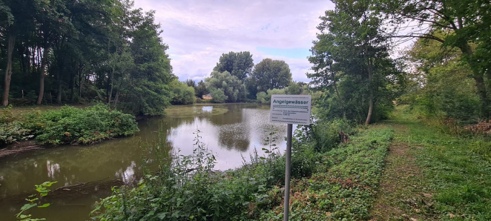 Staubecken Schackensleben angeln