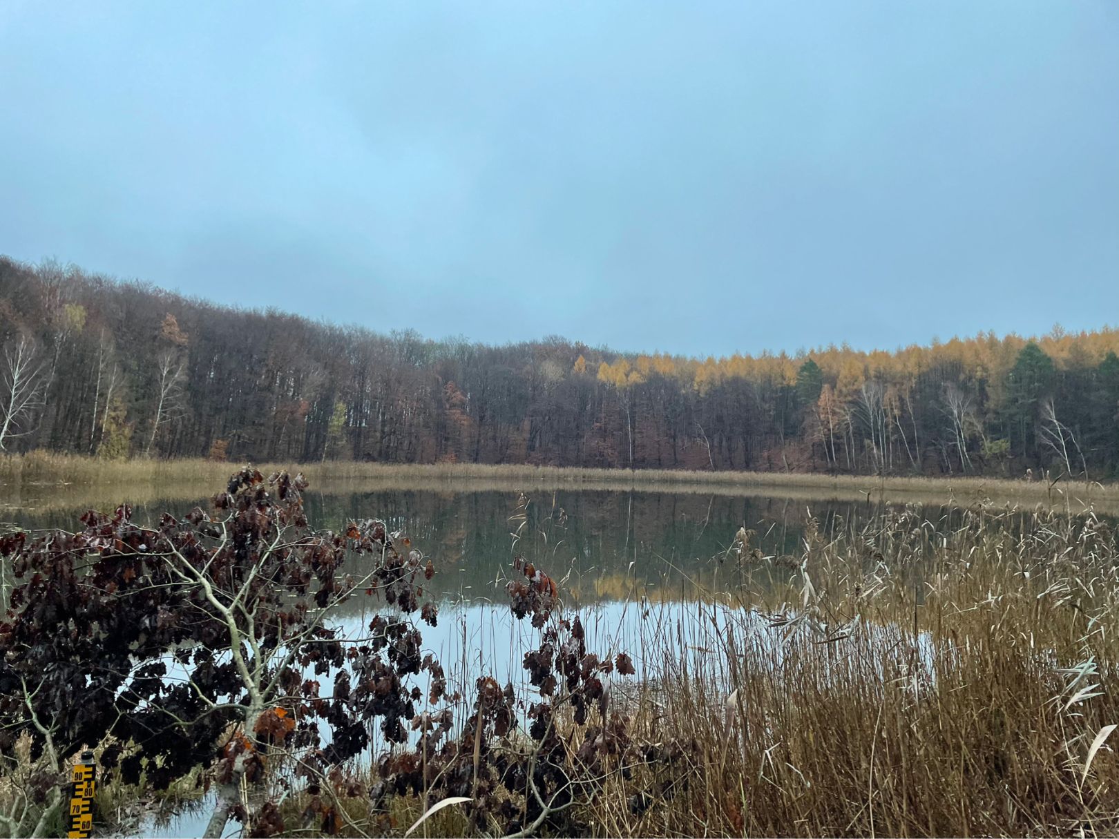 Dreiecksee angeln