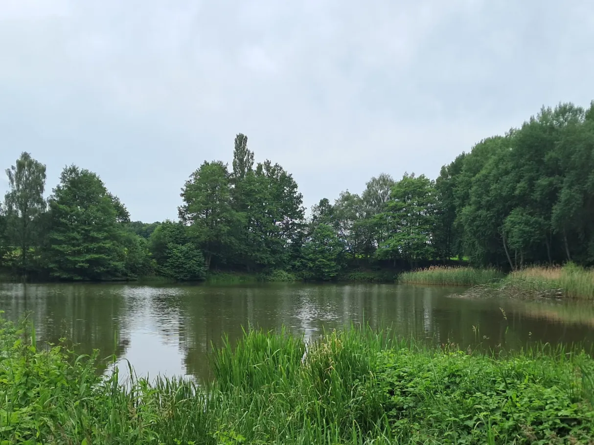 Ochsengrundbergsee angeln