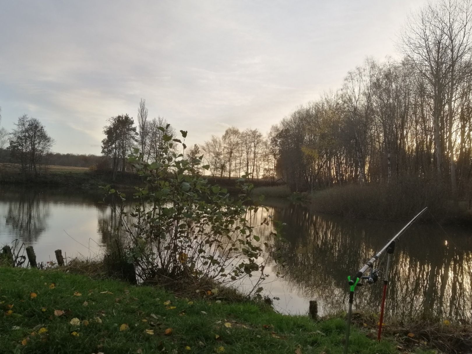 Ochsengrundbergsee angeln