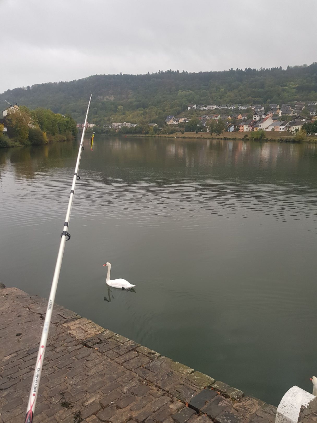 Angeln in Wasserliesch