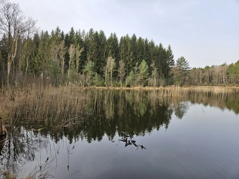 Krummer See (Drewin) angeln