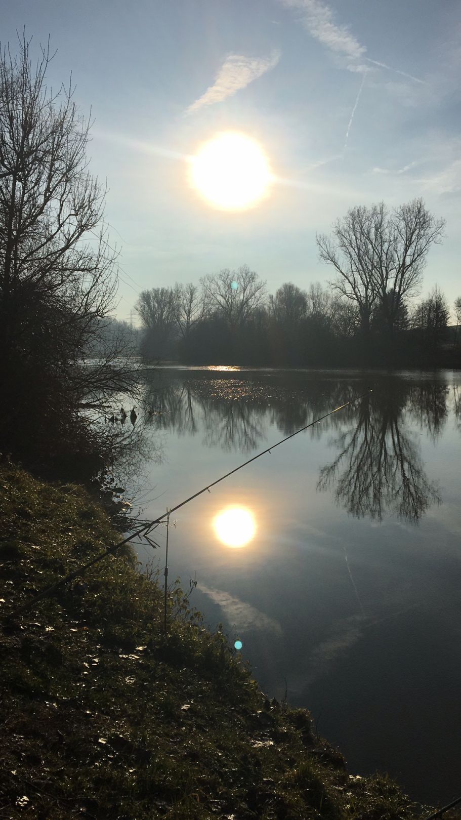 Neckar (Mundelsheim-Hessigheim) angeln