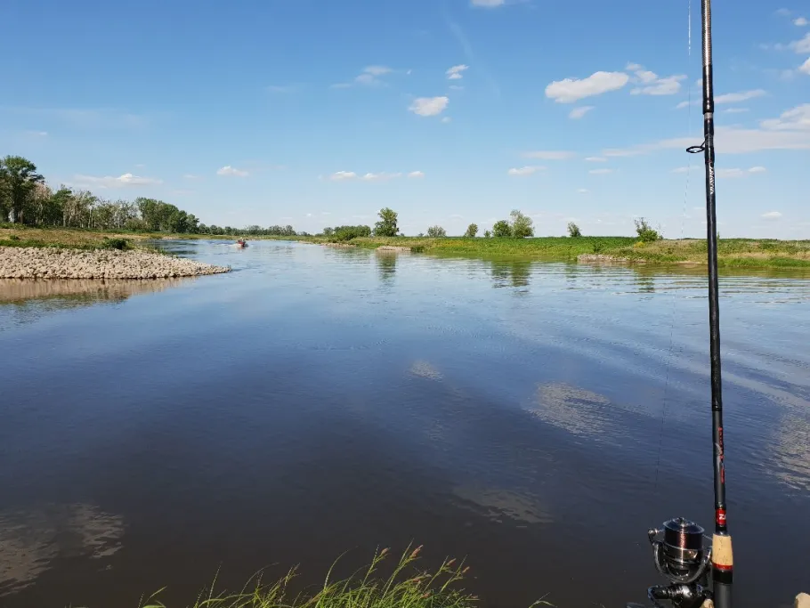 Elbe (Pretzsch) angeln