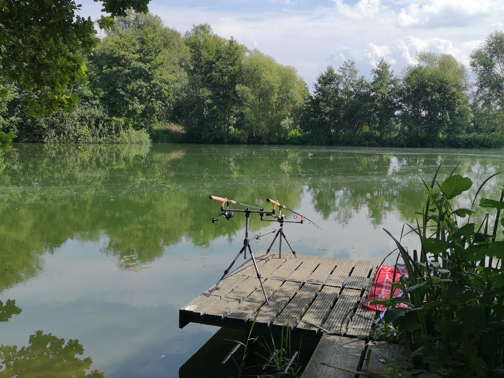 Teich 9 am Fersenweg angeln