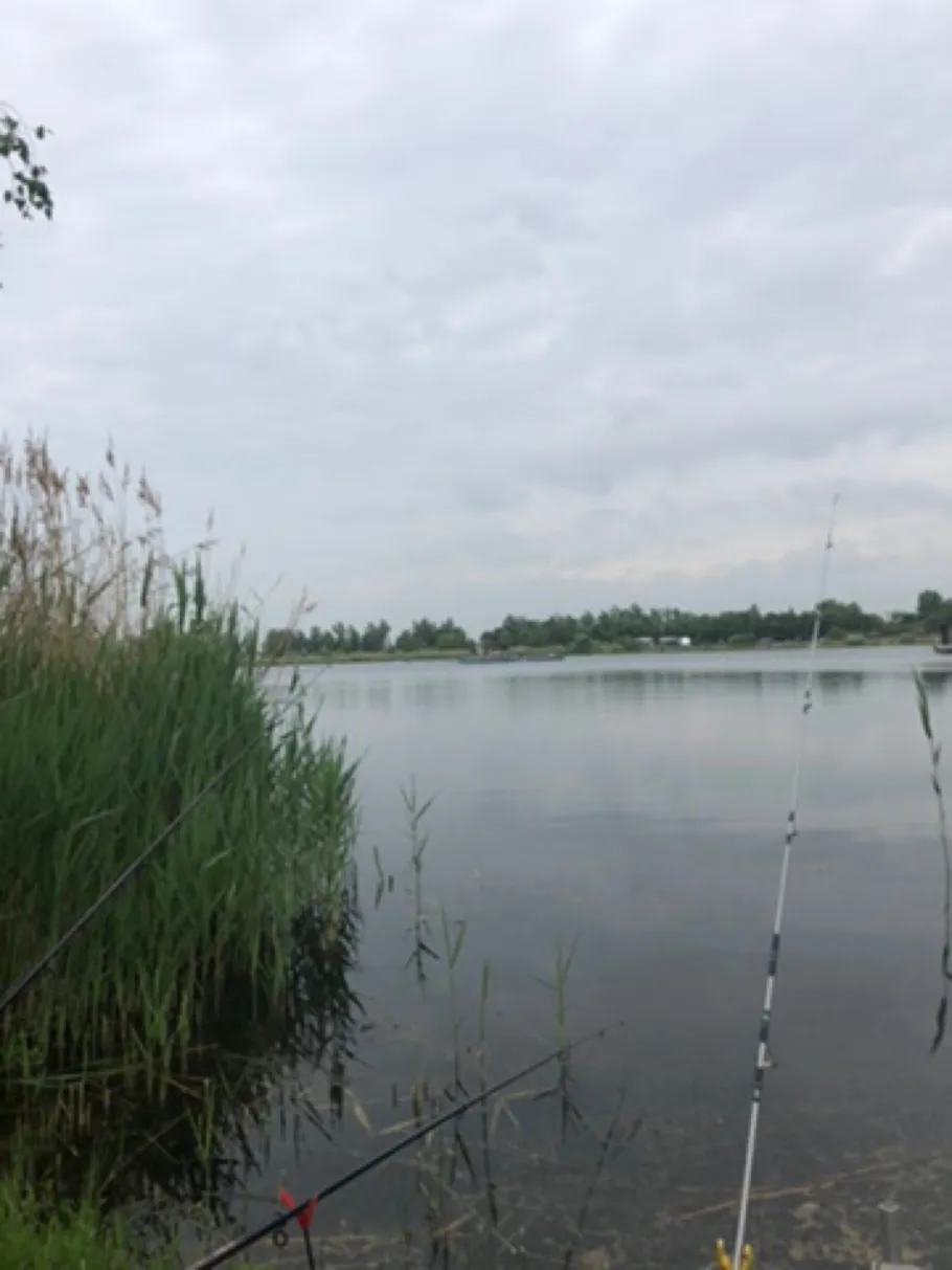 Angelpark Weddendorf angeln