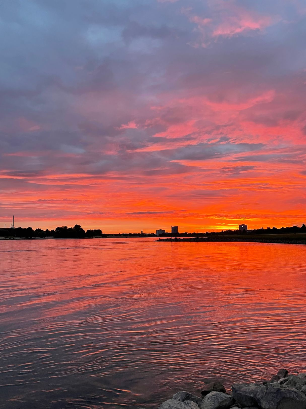 Rhein (Düsseldorf) angeln