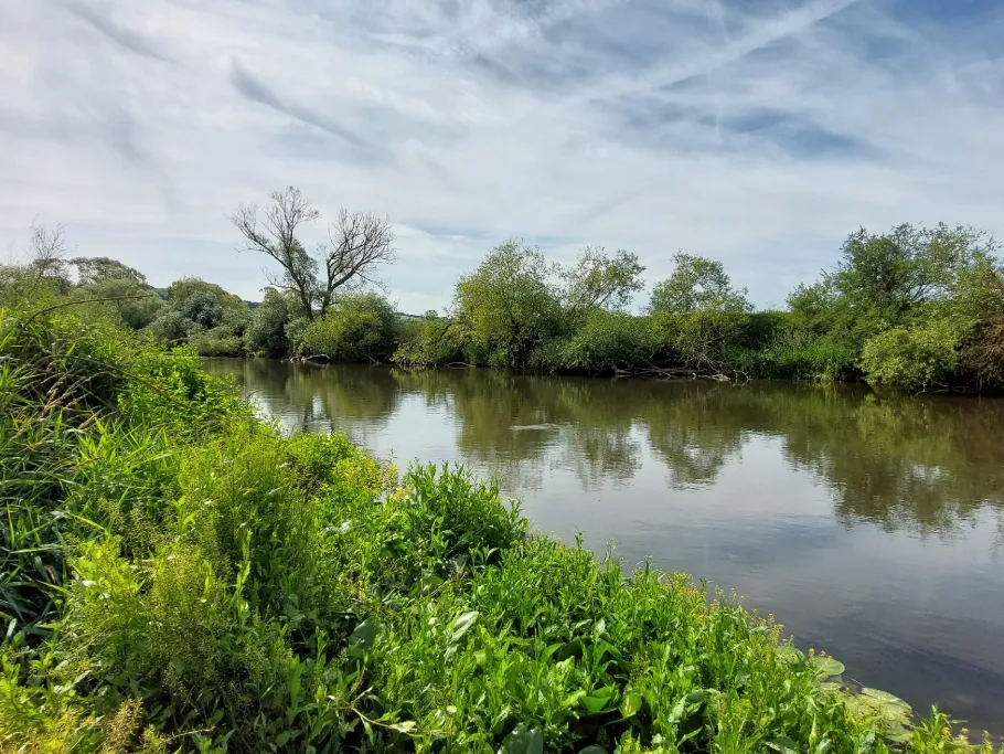 Fulda (Bebra) angeln