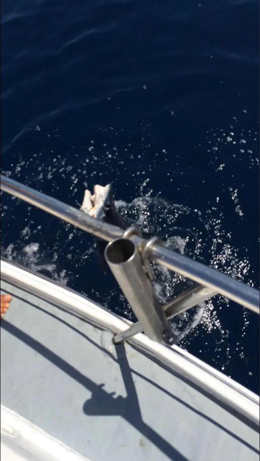 Atlantik (Alporchinhos) angeln