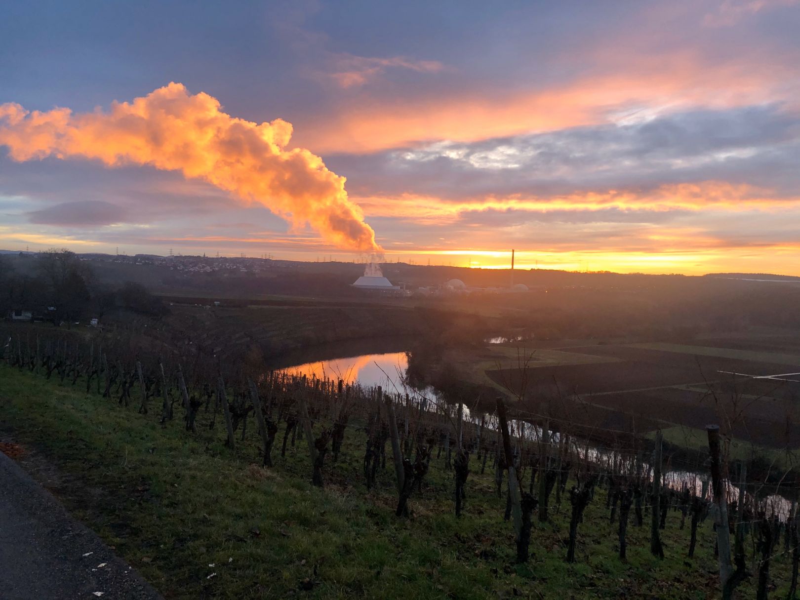 Neckar (Neckarwestheim) angeln