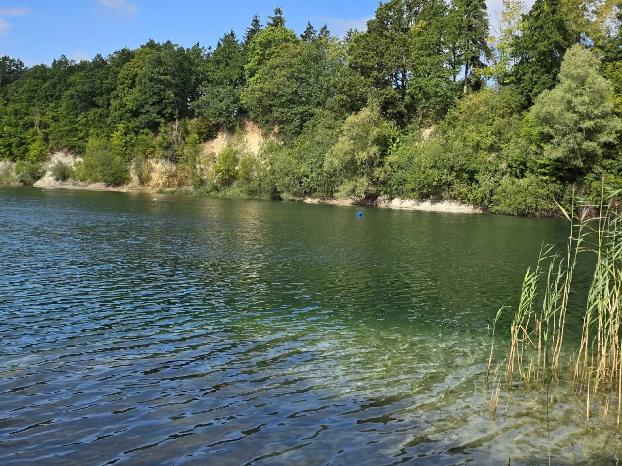 Kalkbruchsee (Lüneburg) angeln