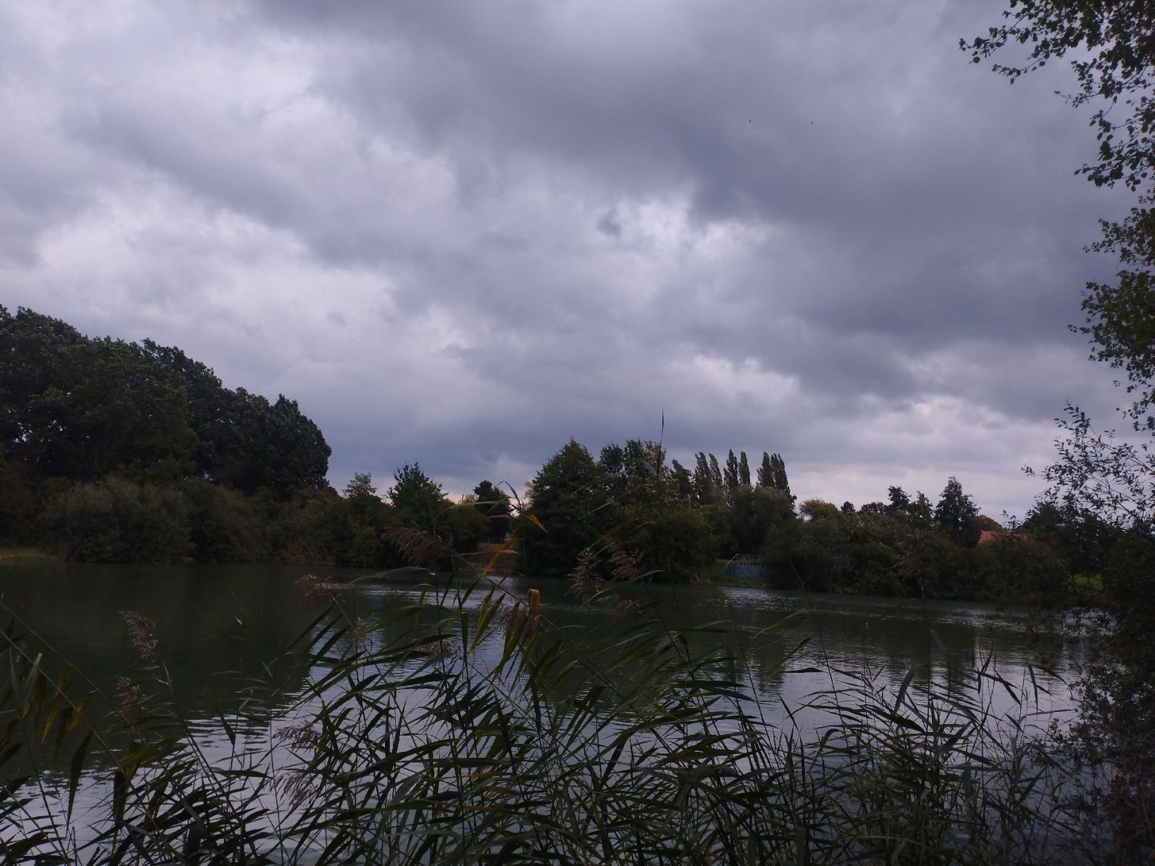 Plötzensee (Messenkamp) angeln