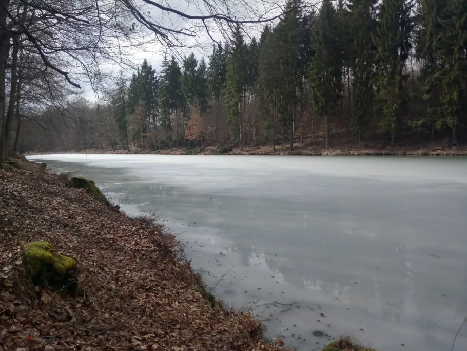 Grenzteich (Neudorf) angeln