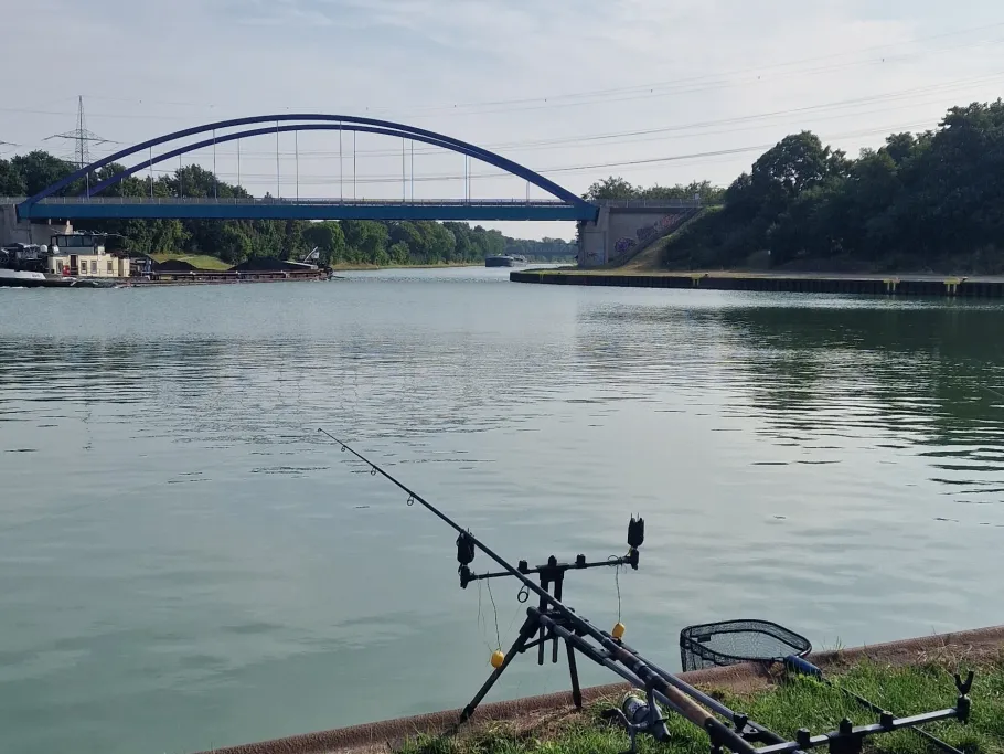 Wesel-Datteln-Kanal (Friedrichsfeld) angeln