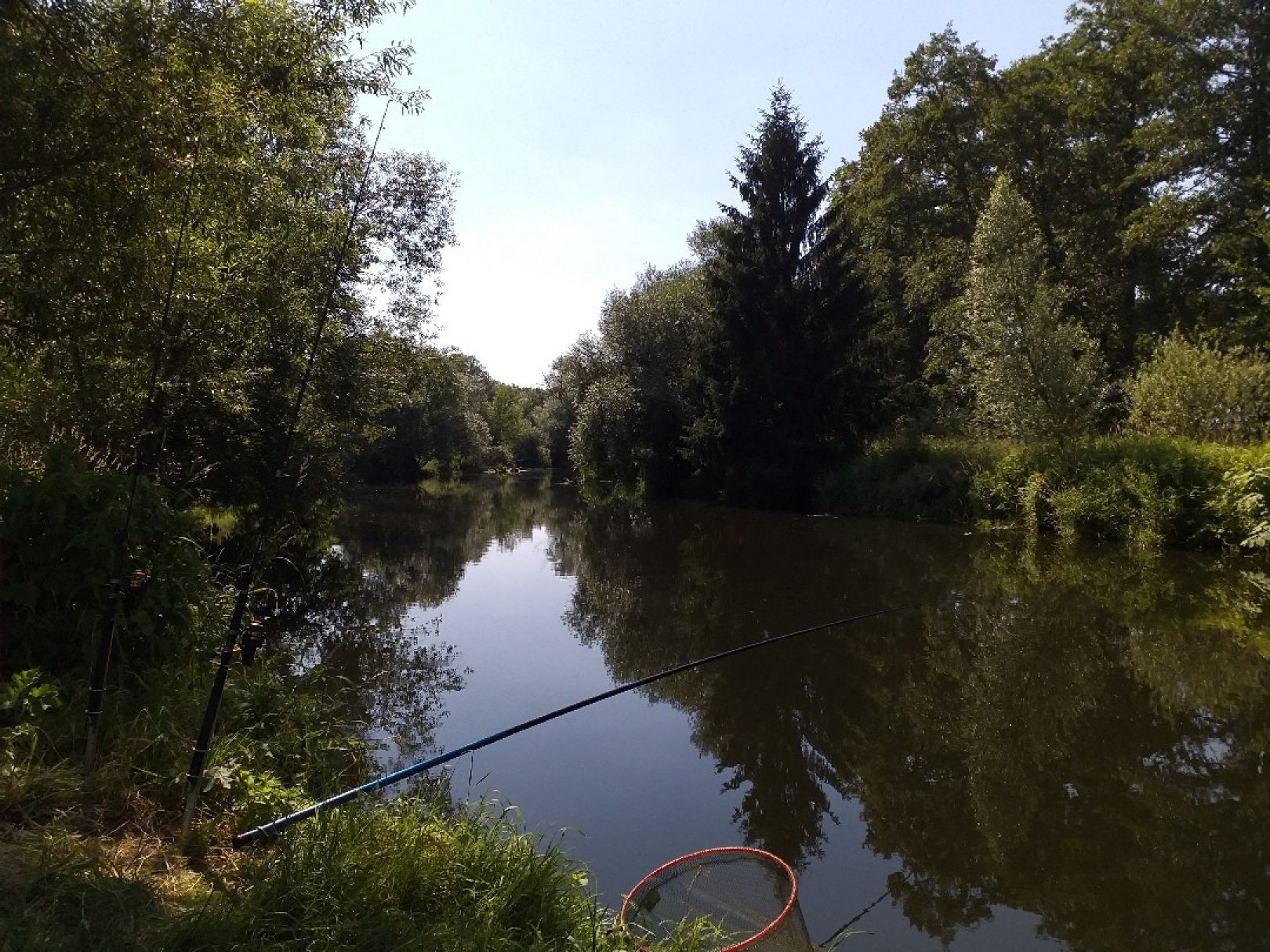 Jonitzer Mulde (Dessau) angeln