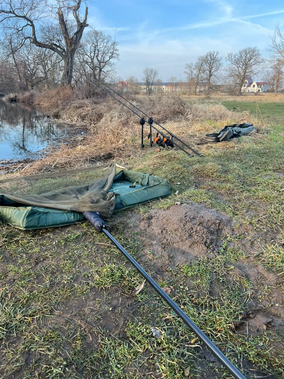 Jonitzer Mulde (Dessau) angeln