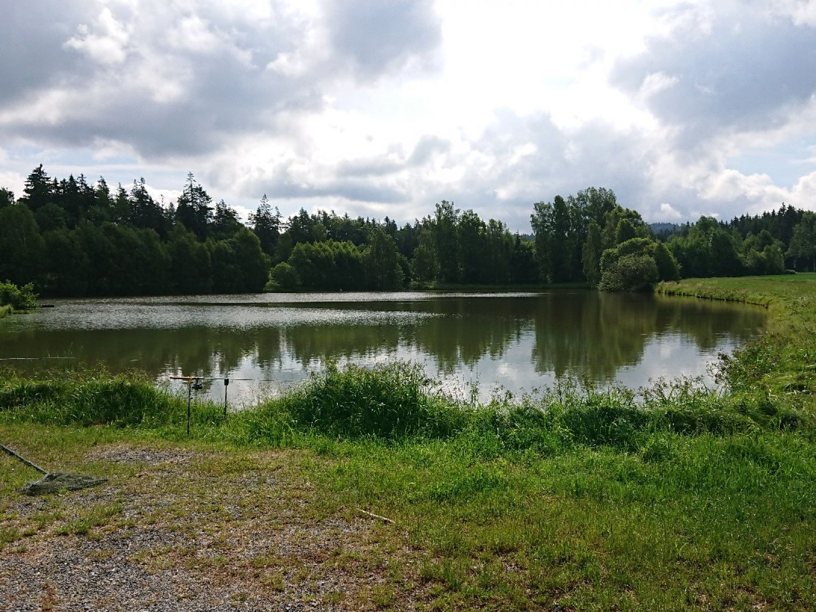 Spenglerweiher (Wildenau) angeln