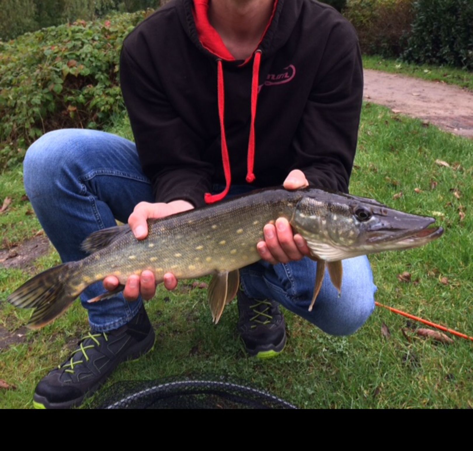 Mehlbeerenteich angeln