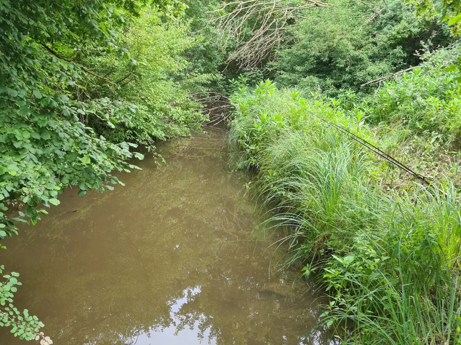 Kleine Erft (Bergheim) angeln