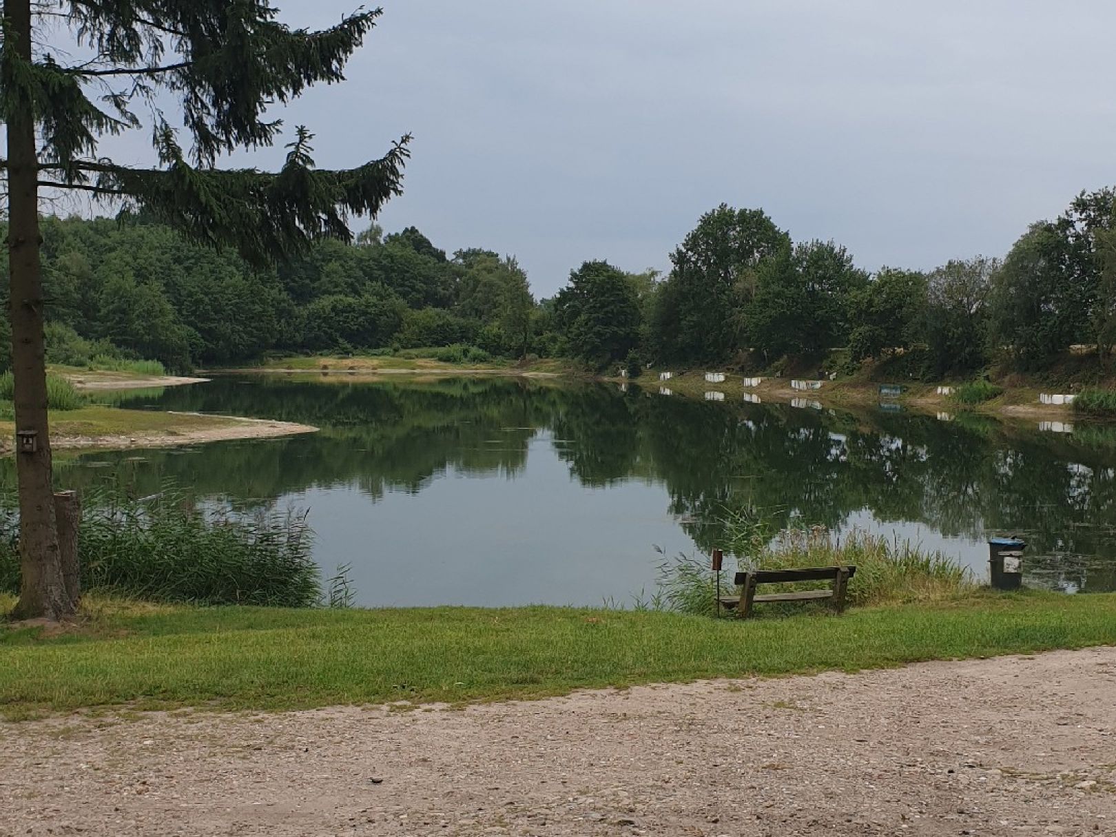 Fischersee Forelle (Kronshorst) angeln