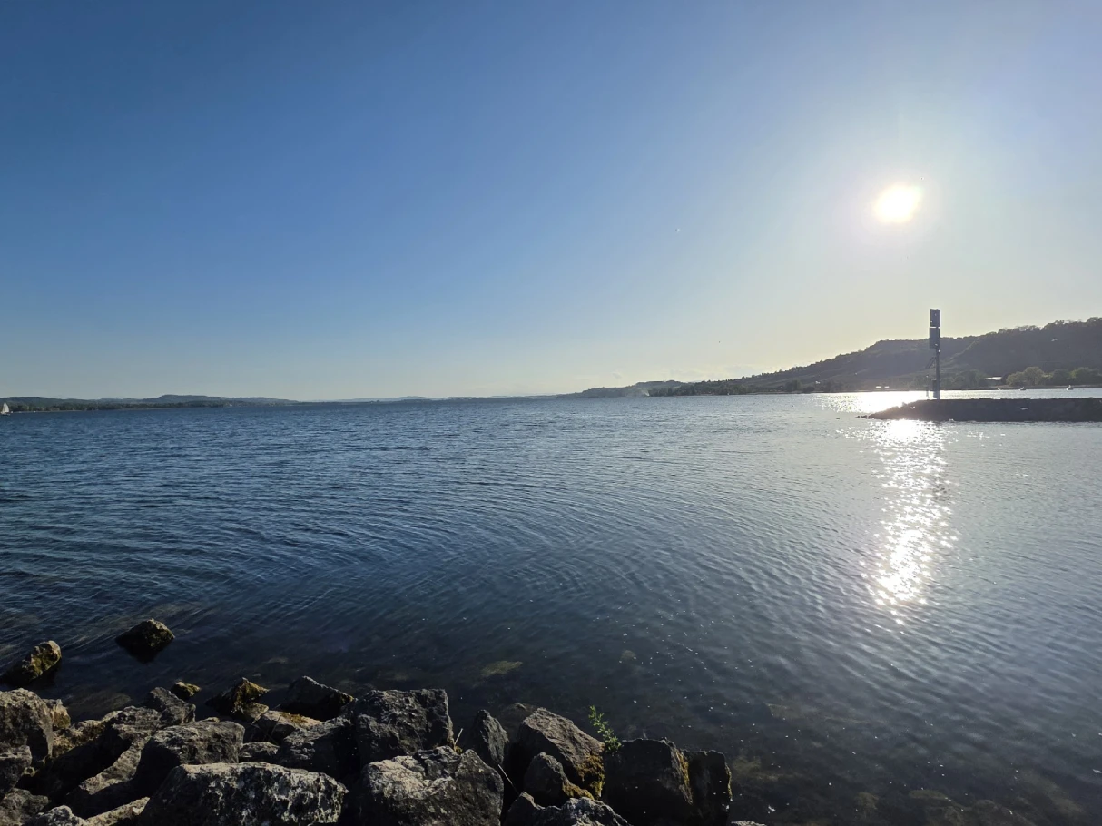 Murtensee angeln