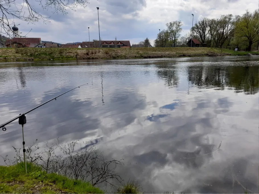 Regen (Miltach) angeln