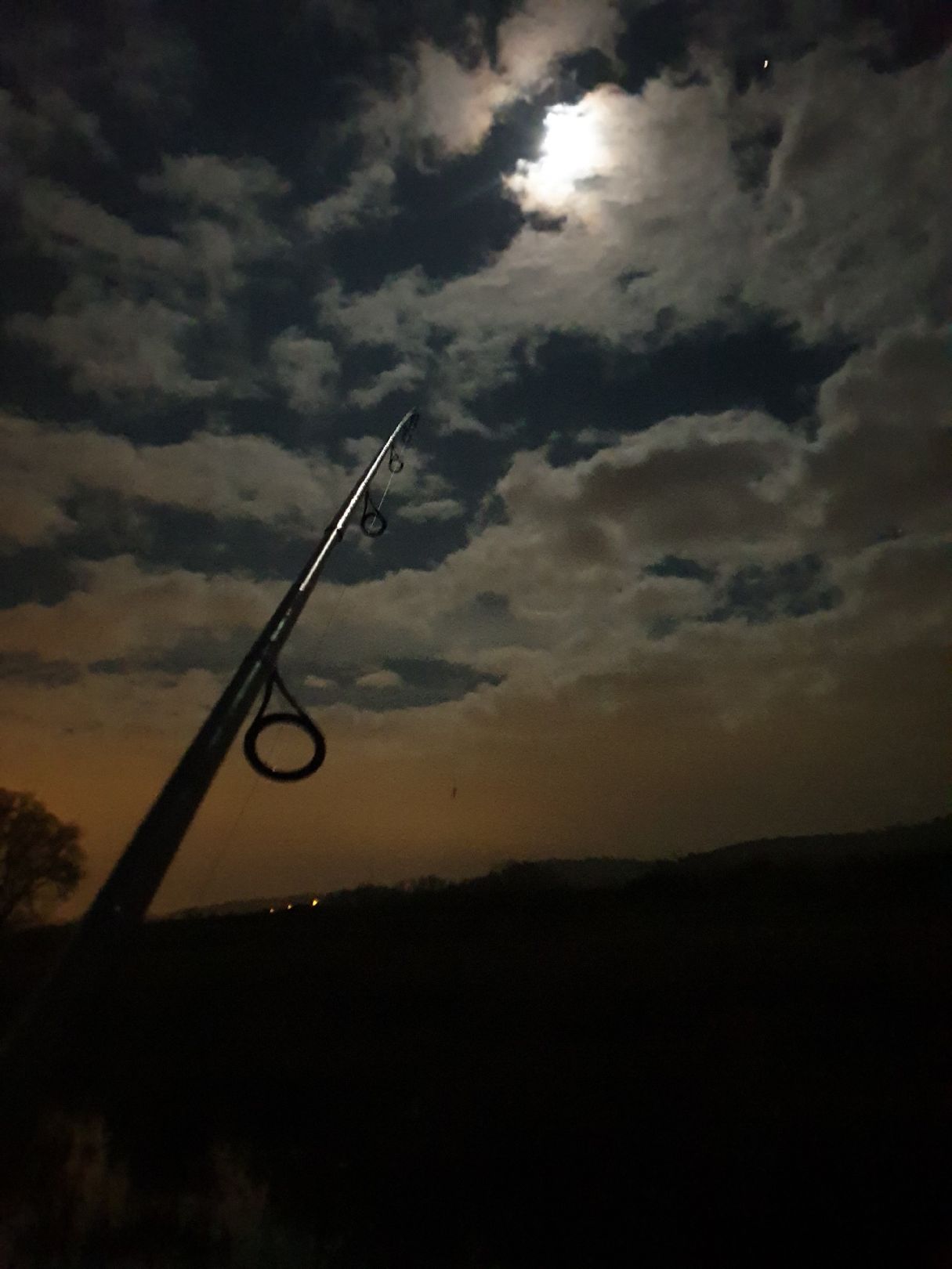 Elbe (Coswig) angeln