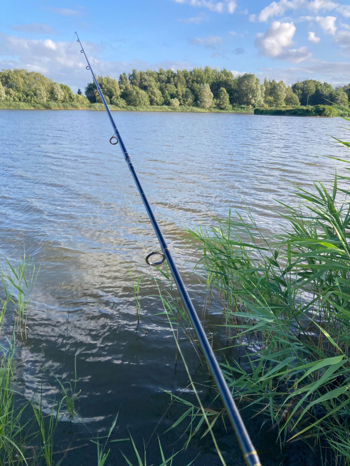 Bernsteinsee (Körkwitz) angeln