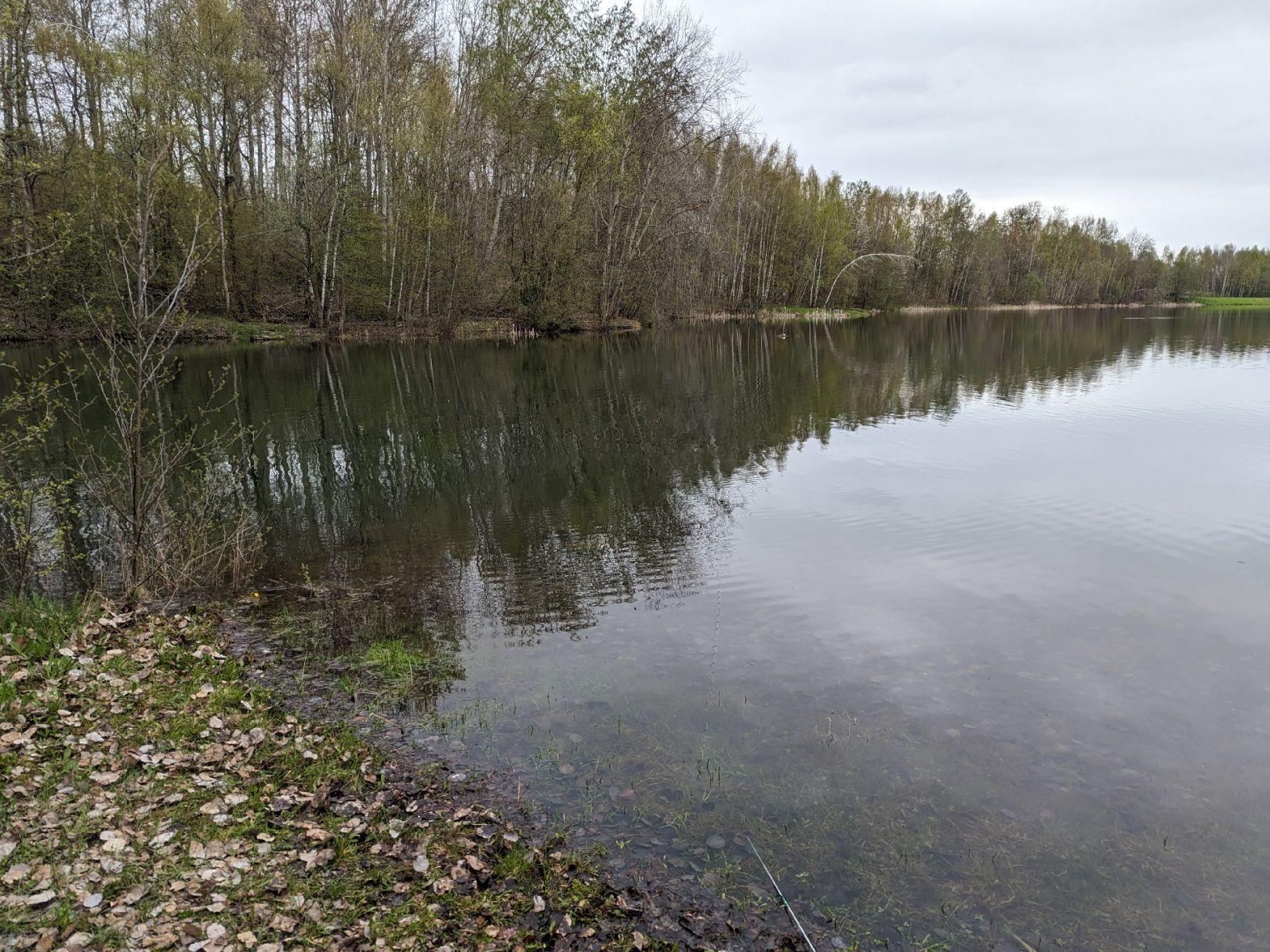 Stausee Oberwald angeln