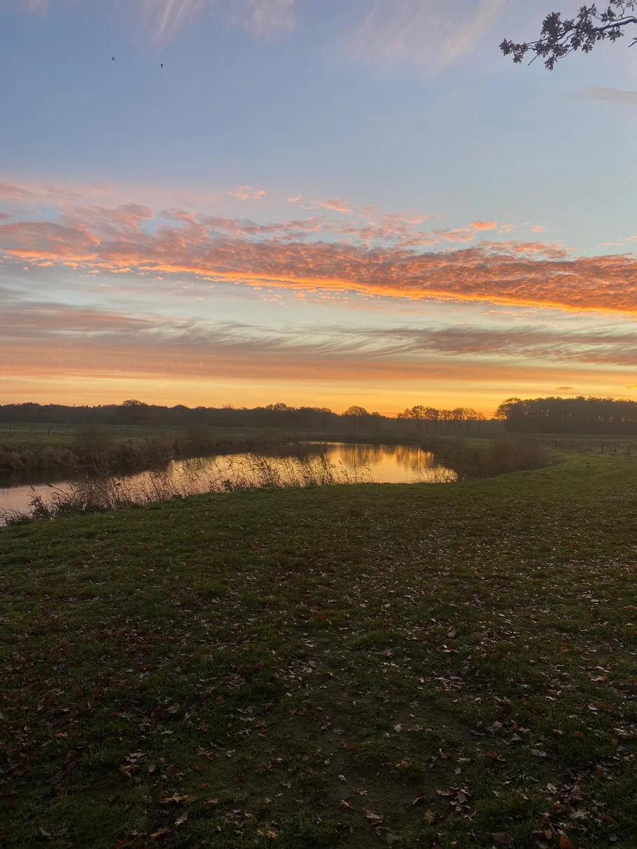 Haseteich (Gehrde) angeln