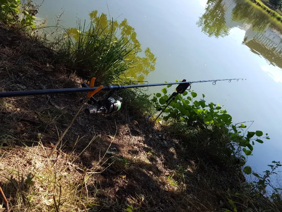 Vorsperre TS Koberbach angeln