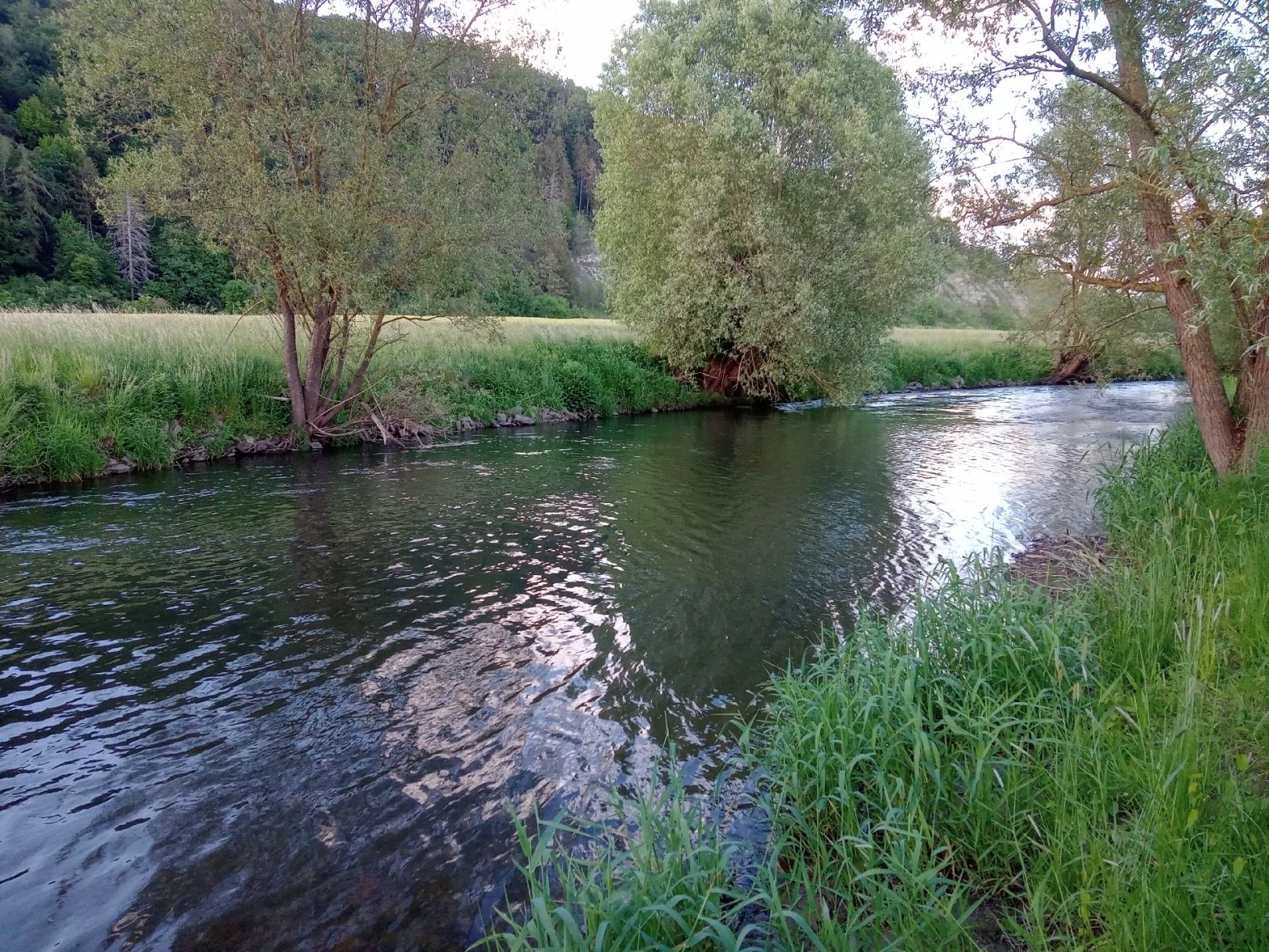 Diemel (Liebenau-Ostheim) angeln