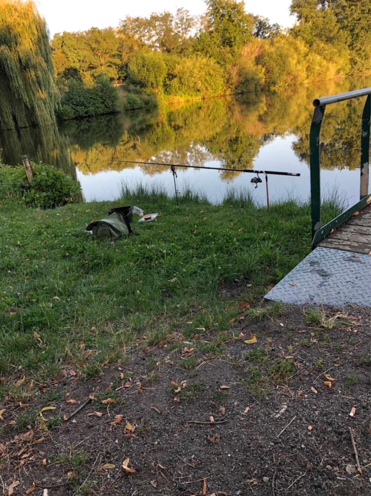 Teich in Rätzlingen angeln