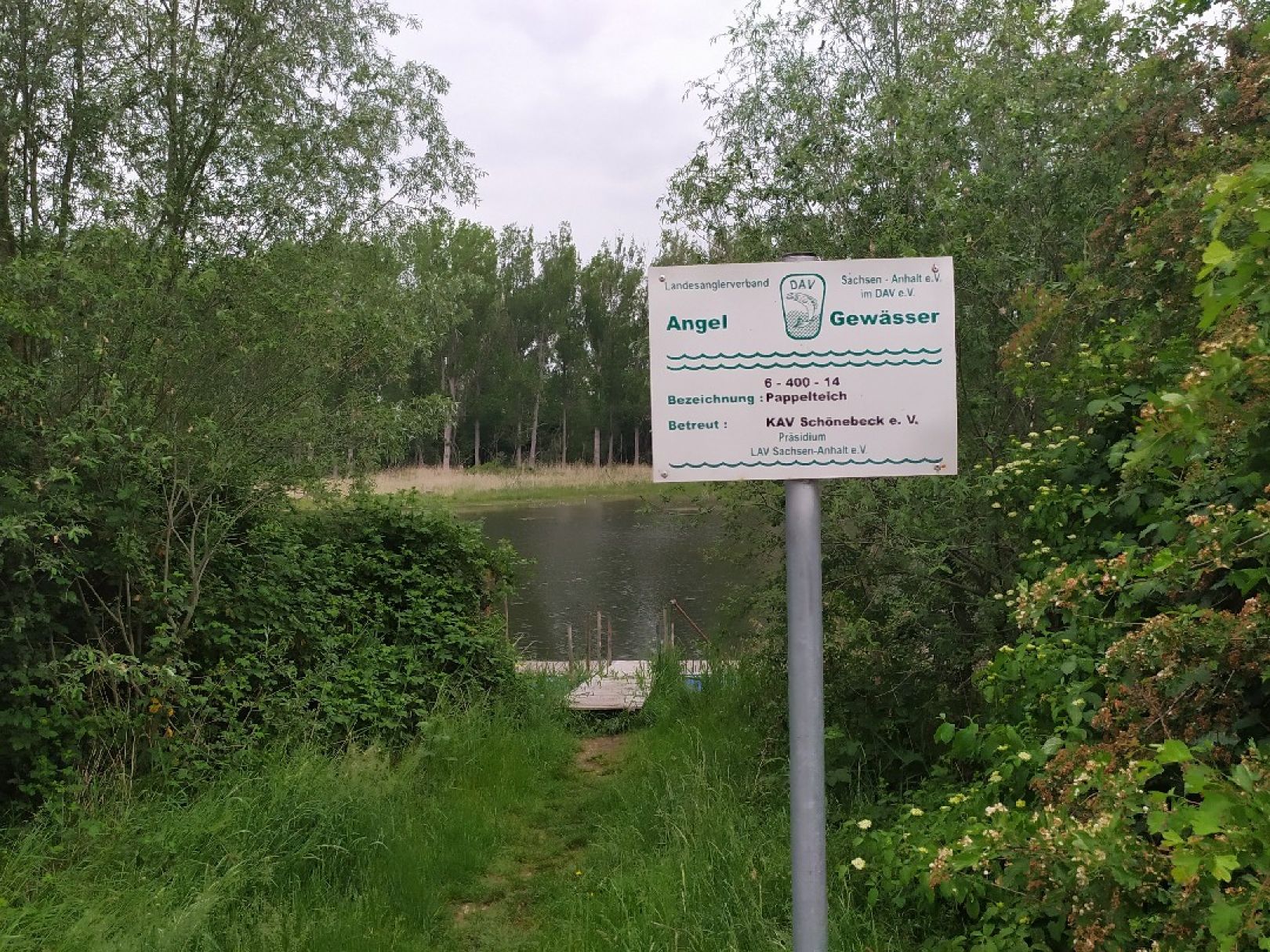 Pappelteich (Grube Alfred) angeln
