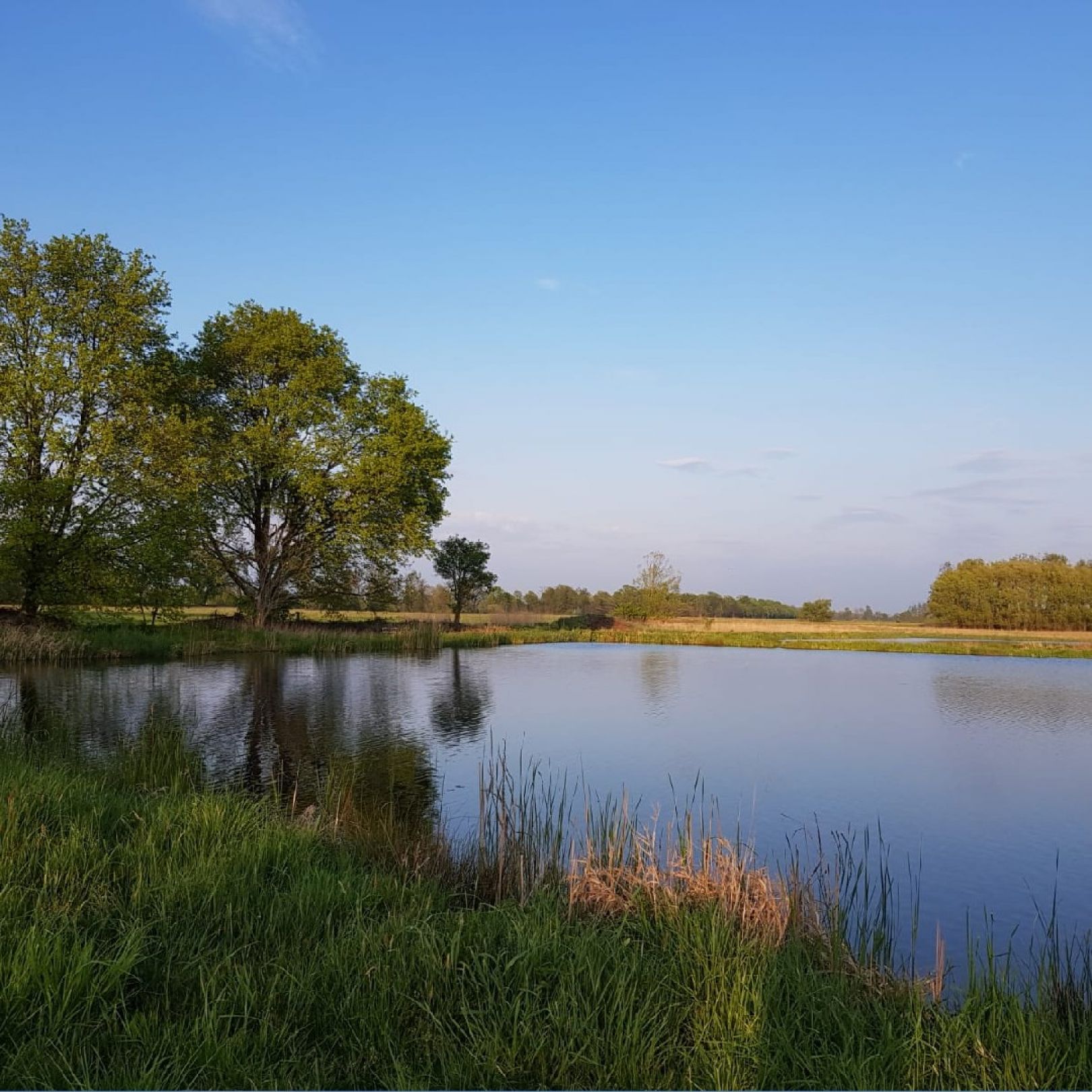 Trockenwerk Teich (Gröden) angeln