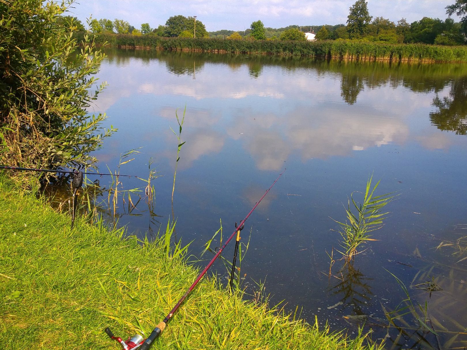 Seibtscher Teich angeln